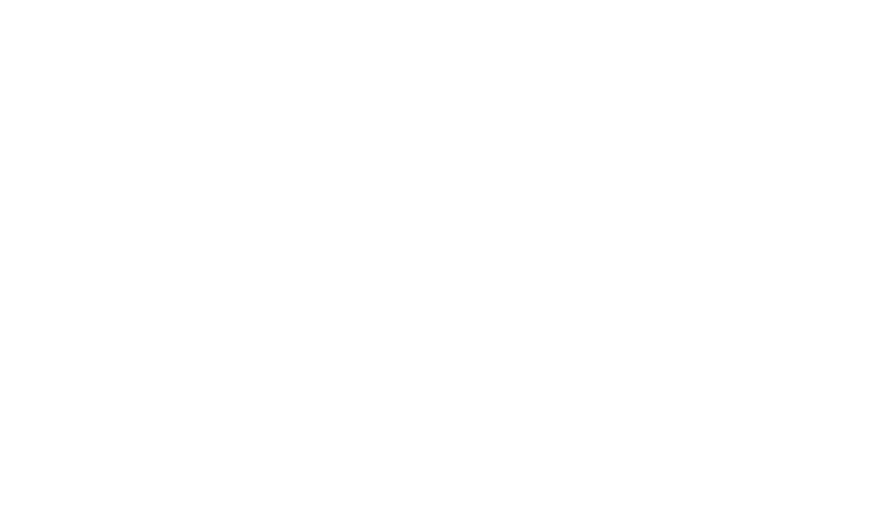 Allymar Logo